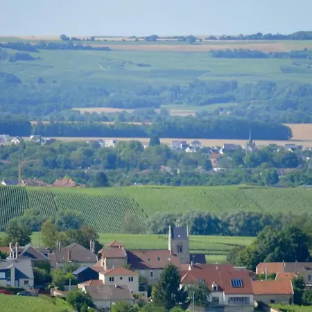 Maison Petit Jardin à 7 Minutes De Reims Appartement Pargny-les-Reims