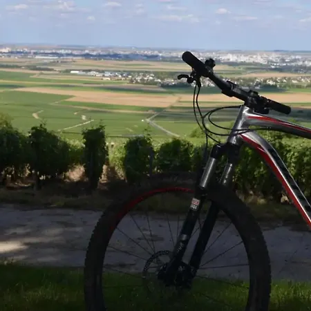Agreable Maison Petit Jardin A 7 Minutes De Reims *
