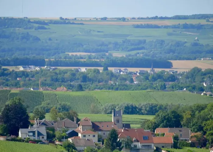 Agreable Maison Petit Jardin A 7 Minutes De Reims Apartment Pargny-les-Reims