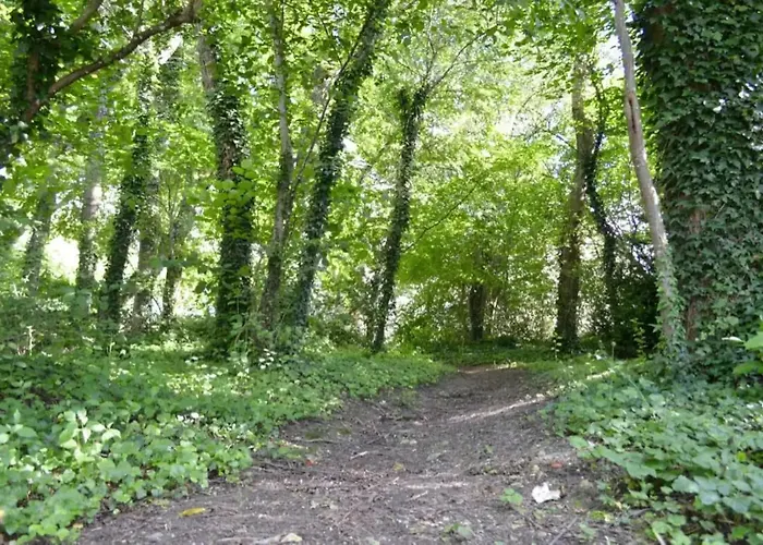 Agreable Maison Petit Jardin A 7 Minutes De Reims Apartment