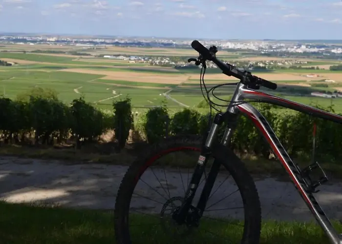 Agreable Maison Petit Jardin A 7 Minutes De Reims *